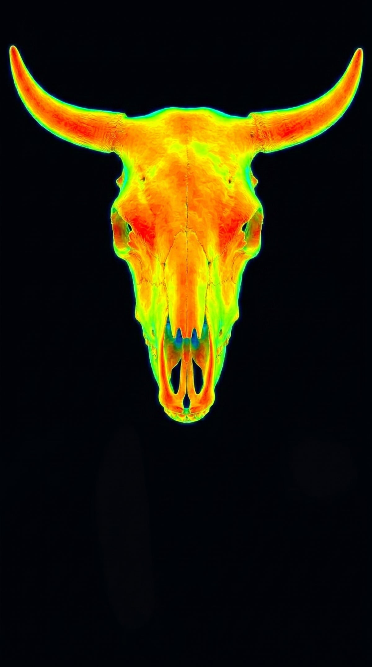 Thorax thermal study